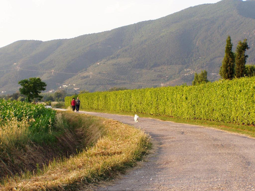 Agriturismo La Pisana Naturaleza foto
